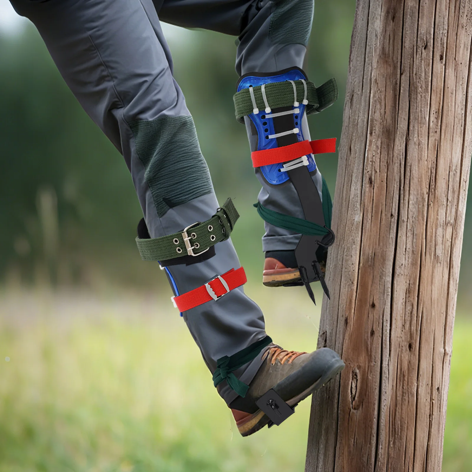 Tree Climbing Tools Set - Image 5